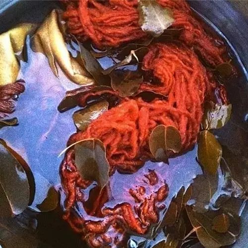 大自然美妙无比又生机勃勃的植物,植物染色的东西