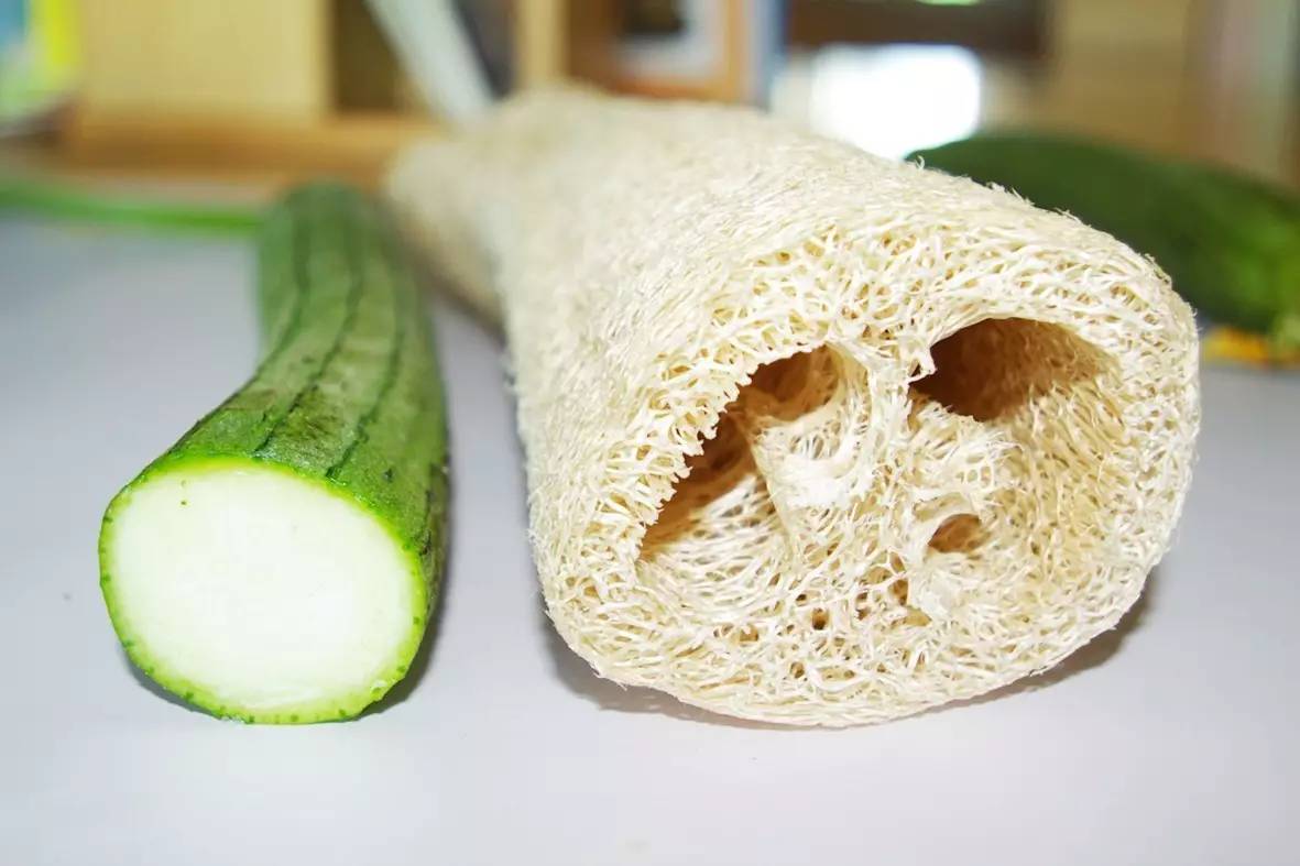 烧开水有水垢做汤没有水垢,去水垢烧水壶小妙招厨房