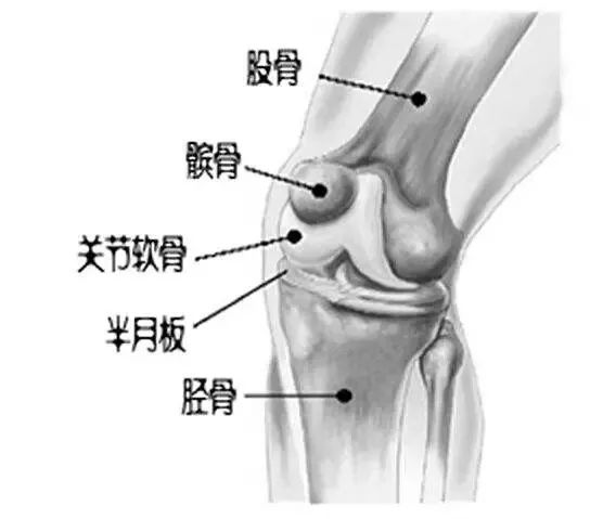 类风湿性关节炎和老寒腿一样么,老寒腿风湿关节炎