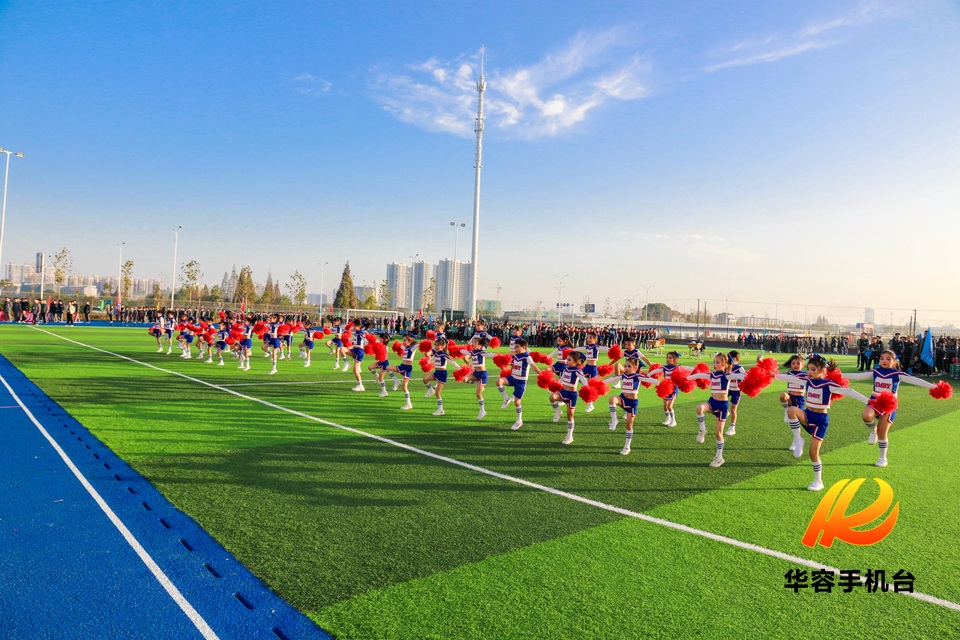 会学习也会玩视频课,会学也会玩说课视频