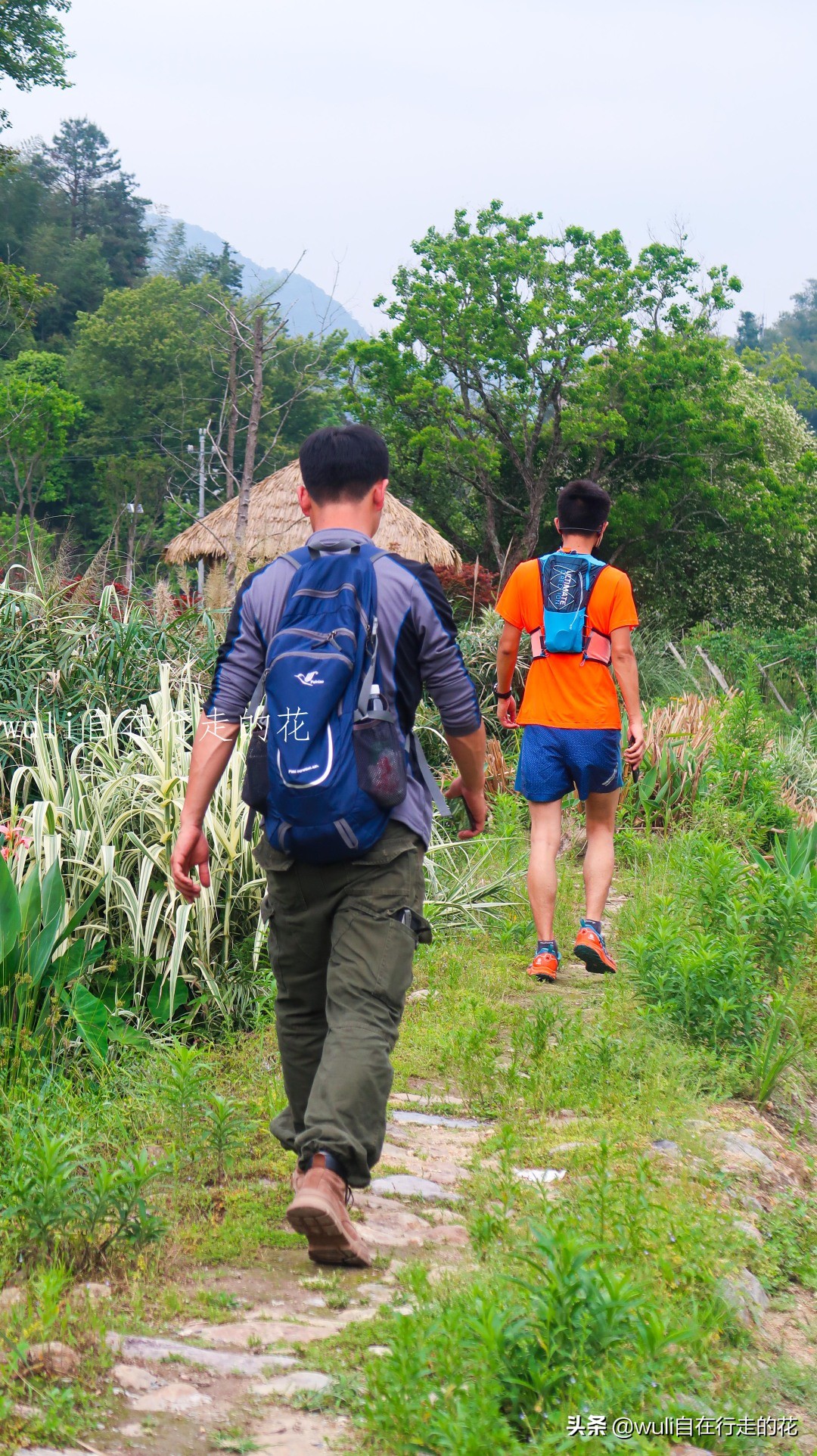 福州十八重溪徒步路线,福州森林公园登山徒步路线