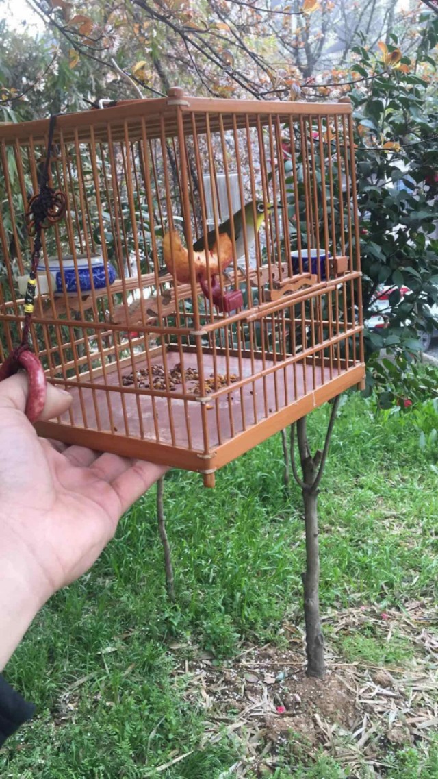 文爱绣眼武爱眉儒雅之处论收藏