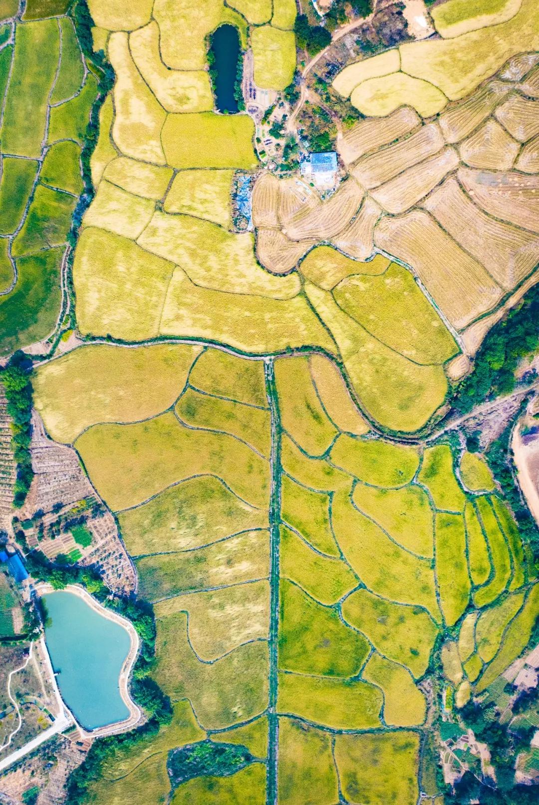 南北相济，中国580多个“菜篮子”是如何炼成的？