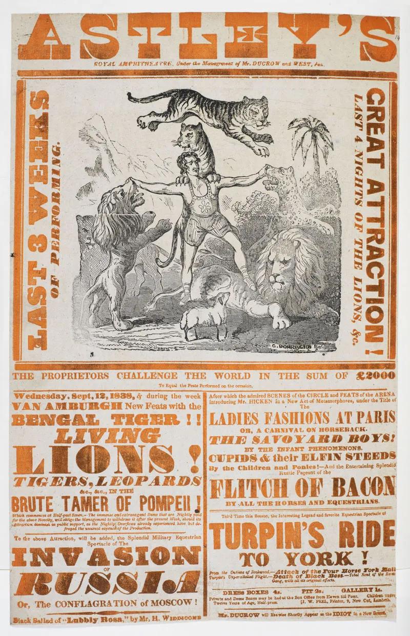 字体的选择技巧有哪些方法,选字的书写教学视频