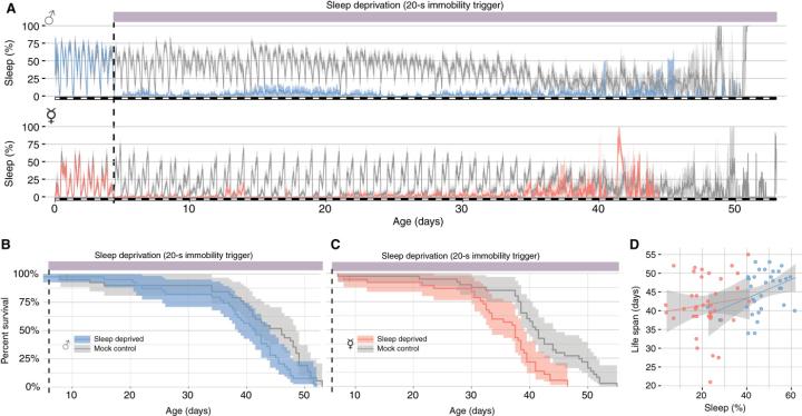 果蝇是否对身体有什么不好,果蝇突然死亡的原因