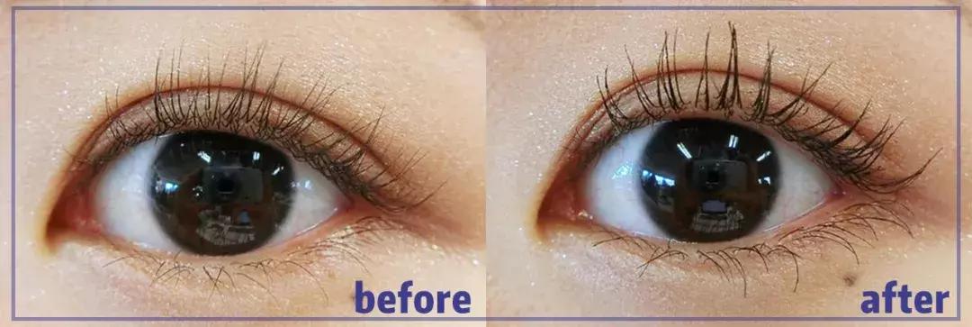 又是第一？！这个品牌屡屡霸榜，凭什么？