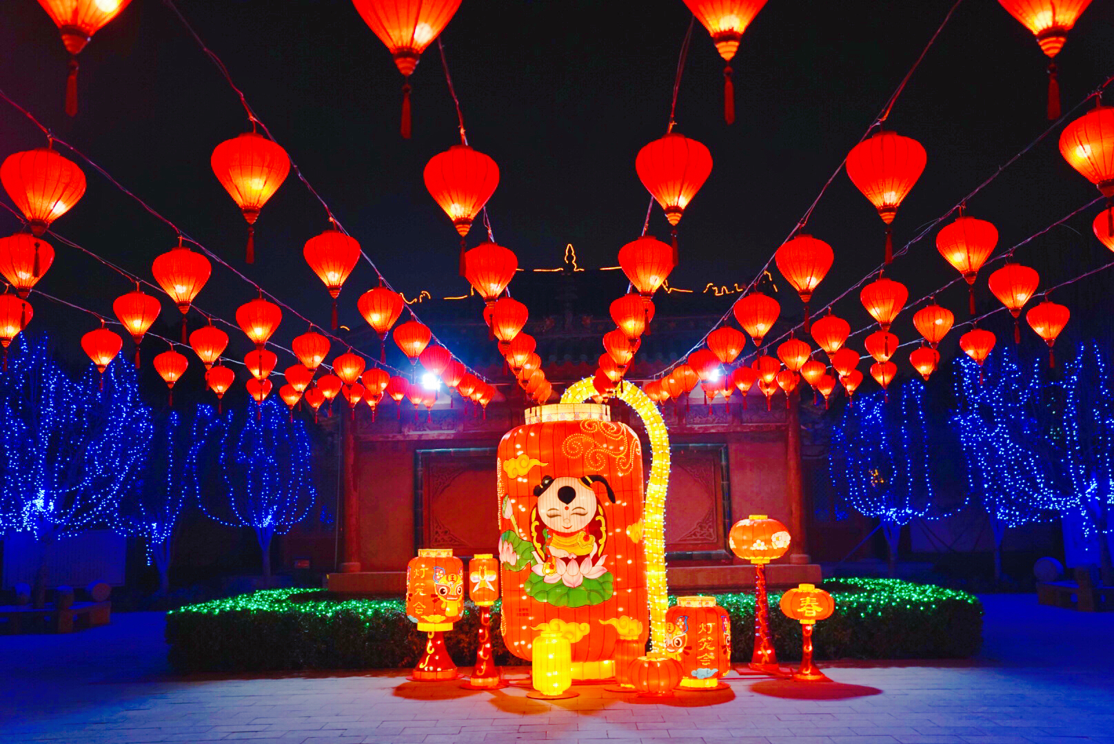 天波杨府灯会完整版,天波杨府上元灯会和普通门票