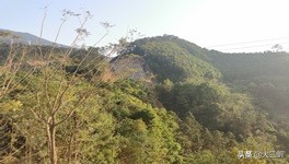 城市双修项目,城市双修建设效果图