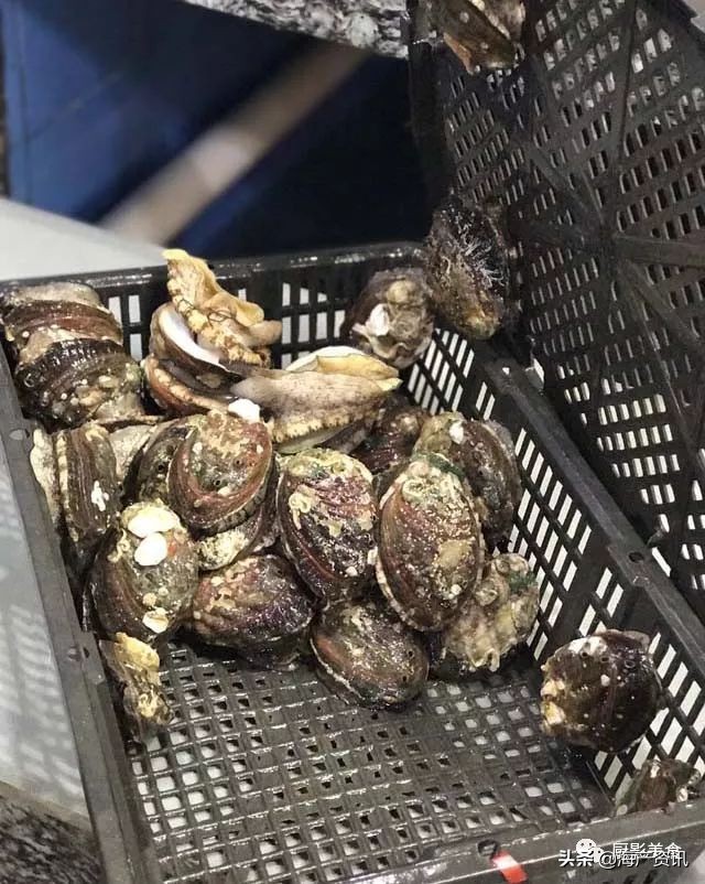 全世界顶级的4种海鲜,世界十大名贵海鲜