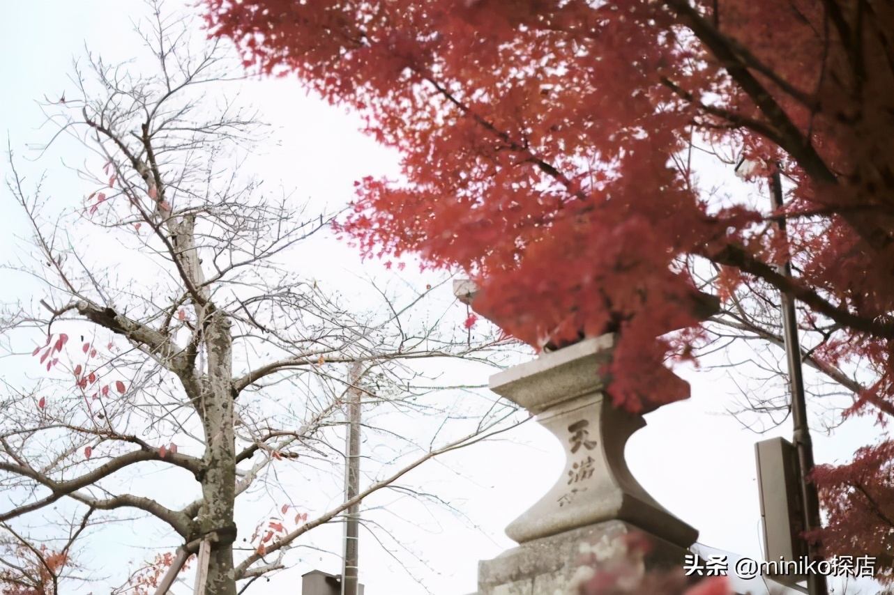 日本关西五天四晚旅游,日本关西6天5夜