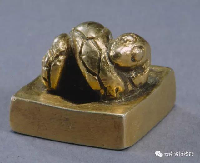 夜郎古国是哪里的景点,真正的夜郎古国在哪里