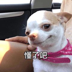 鱼儿常生病?养不好鱼?过来看看吧