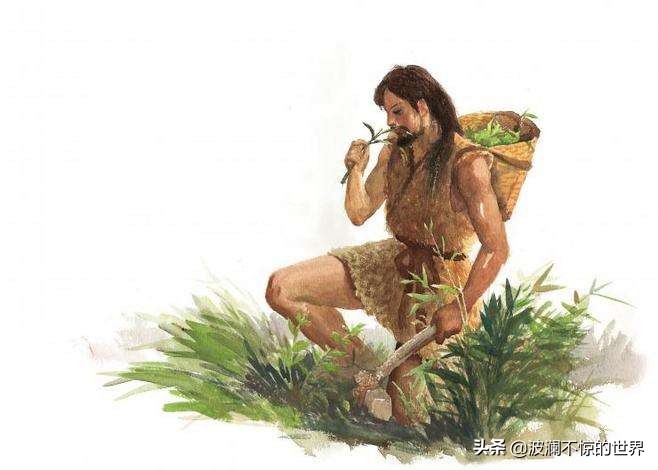 共同祈福!神农尝百草!保佑疫情马上结束!