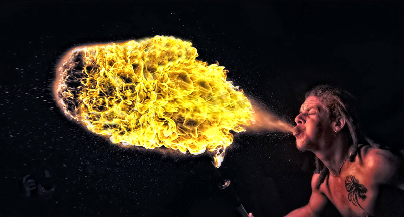 肉苁蓉补肾阳而不燥富含什么物质,肉苁蓉对补肾真的有效吗