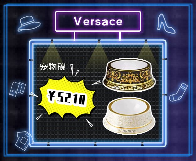 看到它3万块的项圈后，月薪3000的我瑟瑟发抖……