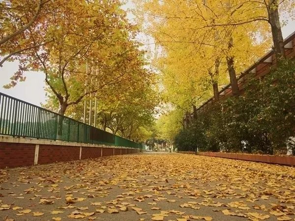 三江学院江苏专业,江苏三江学院录取分数线