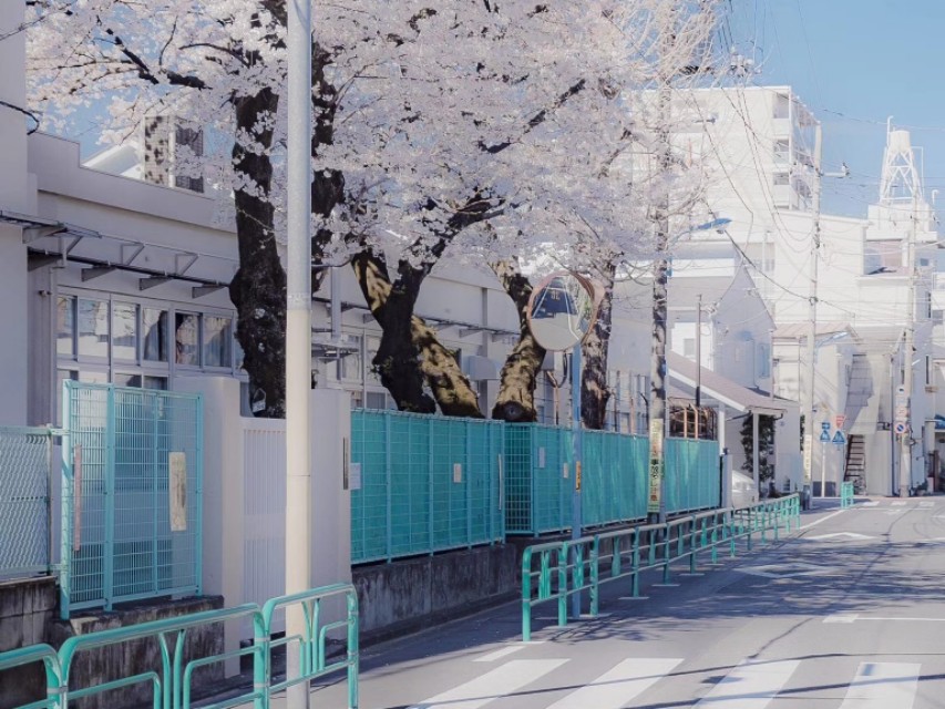 品牌古瓷,古瓷的价值