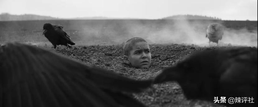 *力暴**与血腥在性关系中，异类是如何存活下去的