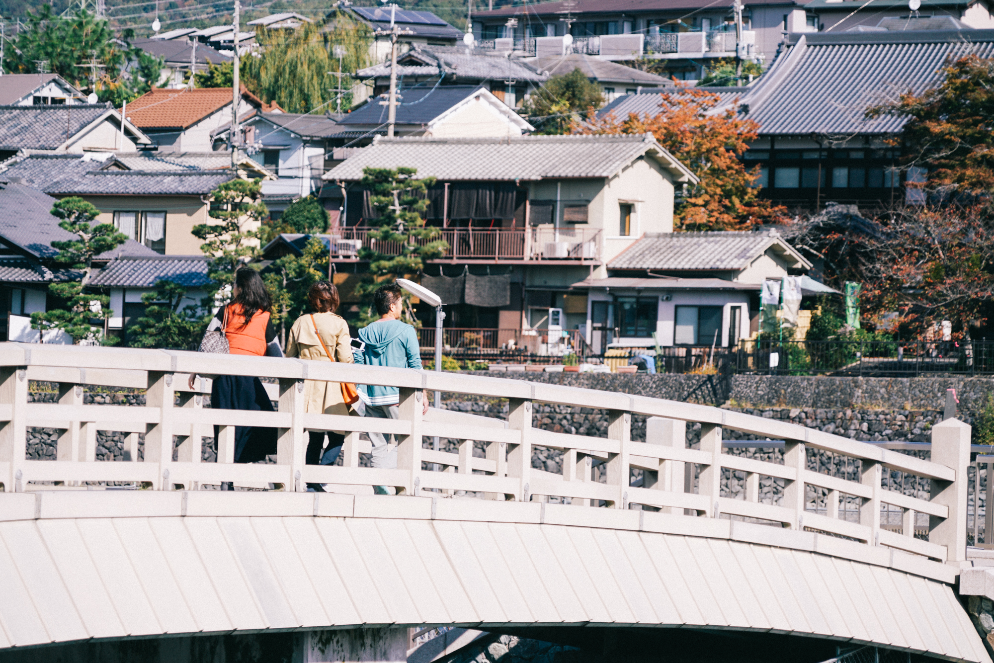 日本京都南禅寺国宝,日本旅游国宝