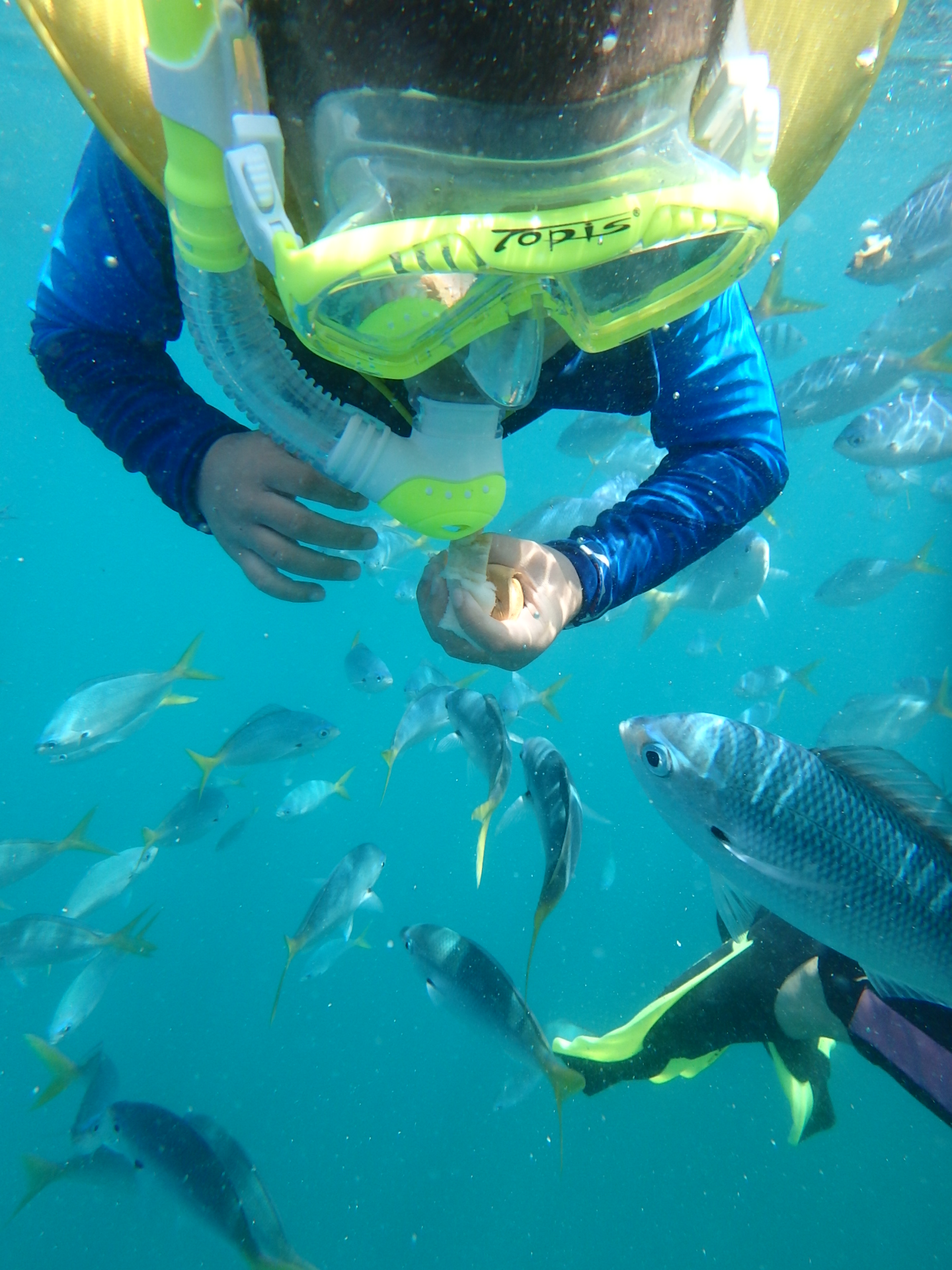 帕劳旅游十大攻略,帕劳上帝的水族箱