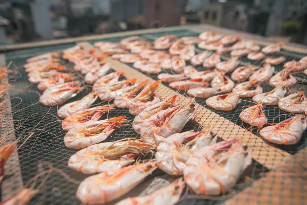 补肾健脾固精的海产品都有哪些呢,温肾固精的食物有哪几种