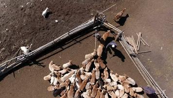 我也想瘦啊！可内蒙古的“食”力它不允许啊……