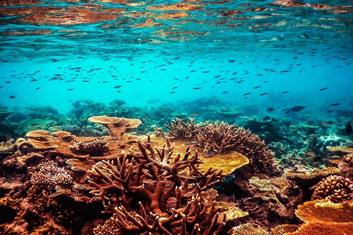 袖珍小国马尔代夫马耳他共和国,马尔代夫最袖珍的首都