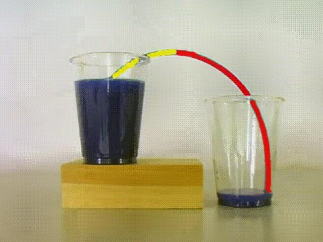 最伟大的发明厕所,厕所最伟大发明