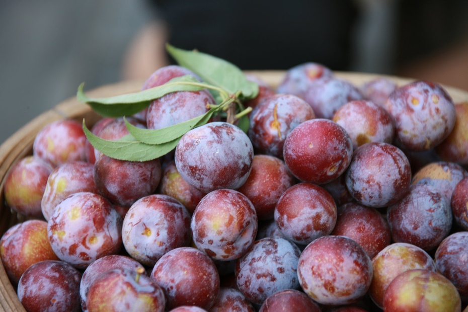 米亚罗-大美理礼县