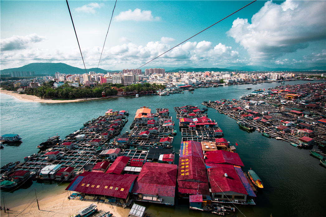 海南必玩猴岛与呆呆丨看萌呆猕猴,呆呆岛发呆