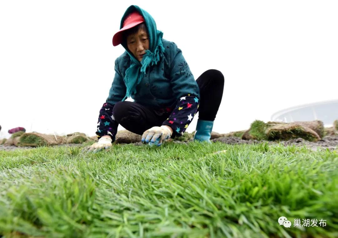 最好的人工草坪足球场,巢湖免费足球场