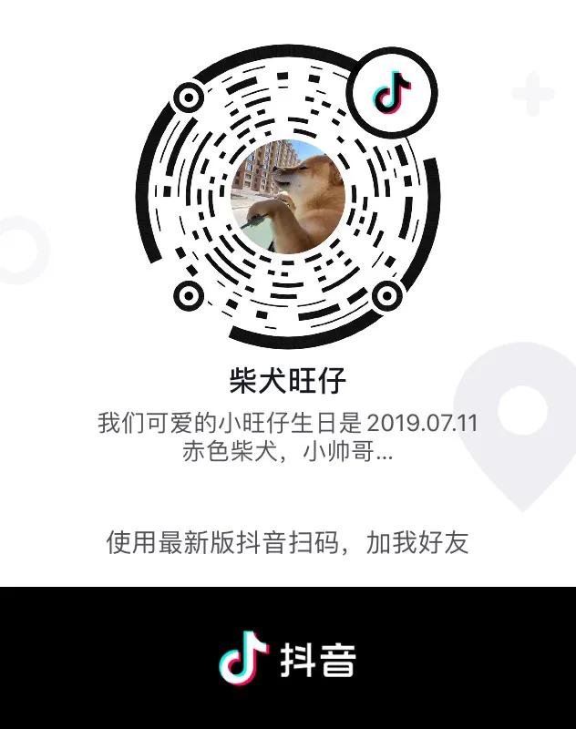 养柴犬的禁忌有哪些,柴犬吃狗粮的禁忌