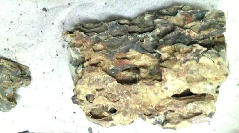 草缸造景教程:胶水造景太温柔,男人就该上电钻