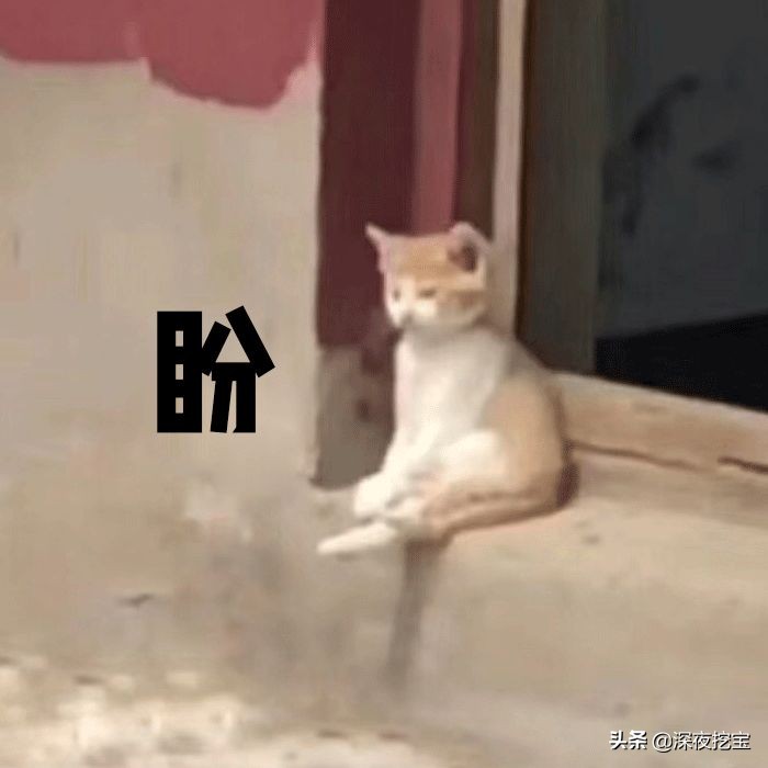 kiko良心测评,kiko推荐好物