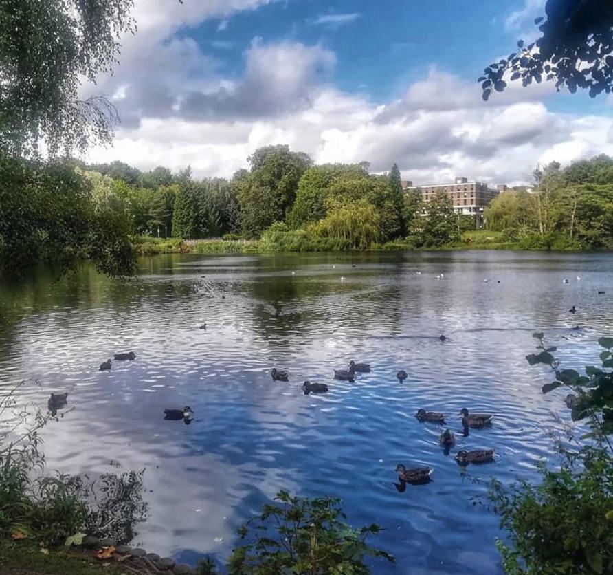 英国最低调的大之一:伯明翰大学,学术不打折,去哪都便利