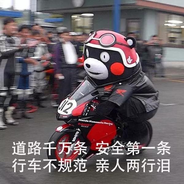 2019网络热词口头语,媒体十大热词2019