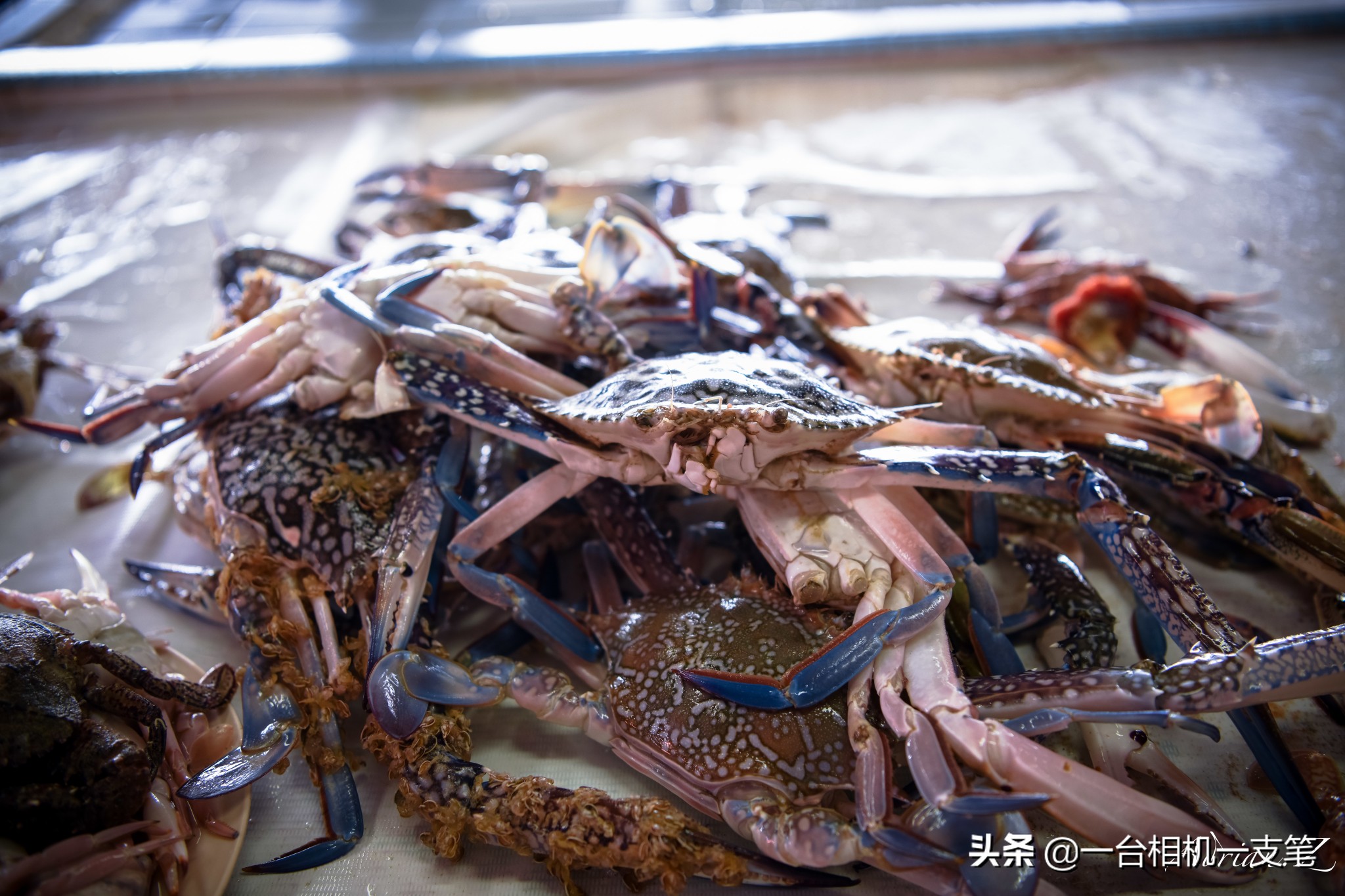 马来西亚隐世小岛,隐世海岛美景