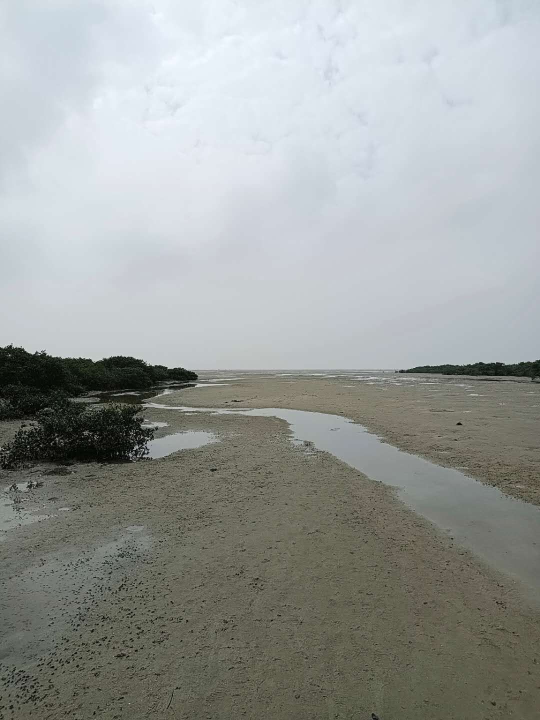 广西北海适合几月份去,厦门和北海哪个更值得去