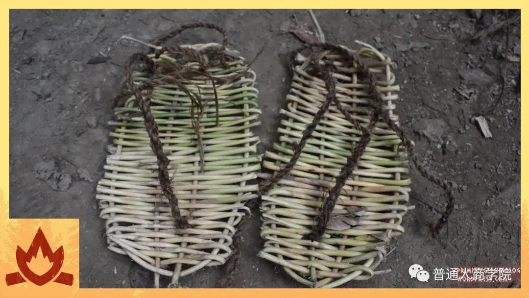 国外版的李子柒男的,日本版李子柒vs中国版李子柒