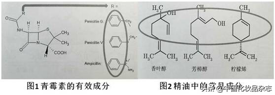 抗真菌的精油,精油的九大生物活性