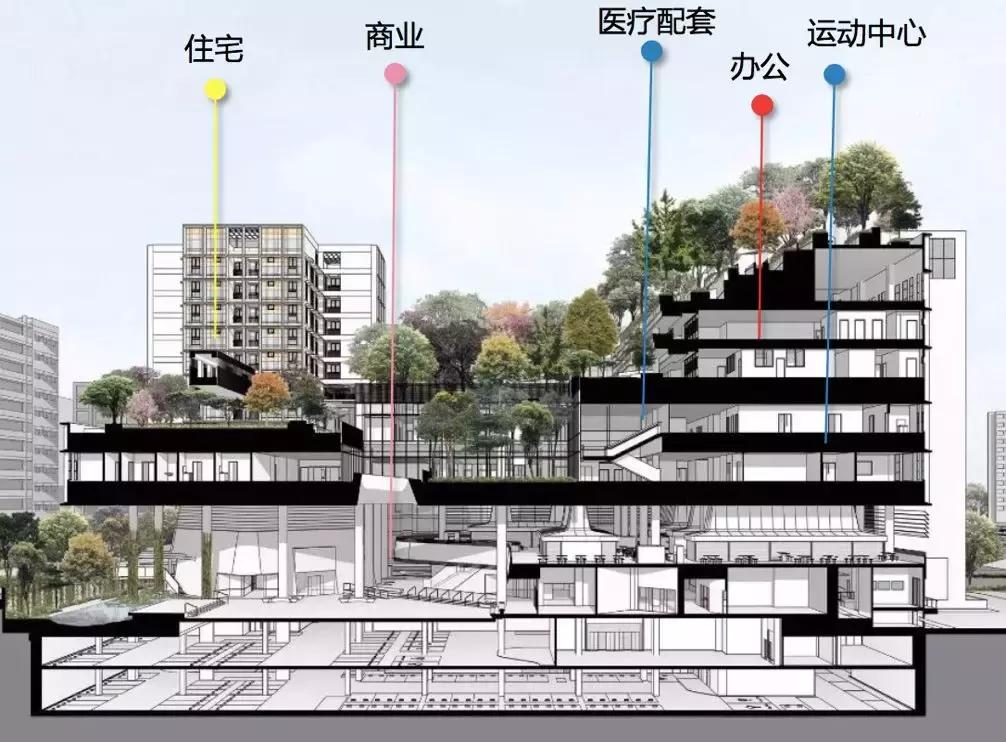 郁亮喊万科2017活下去,郁亮说万科没有五年规划