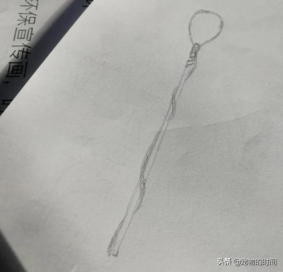 猫丢了有没有吸引猫的声音,猫丢了怎样把猫引出来