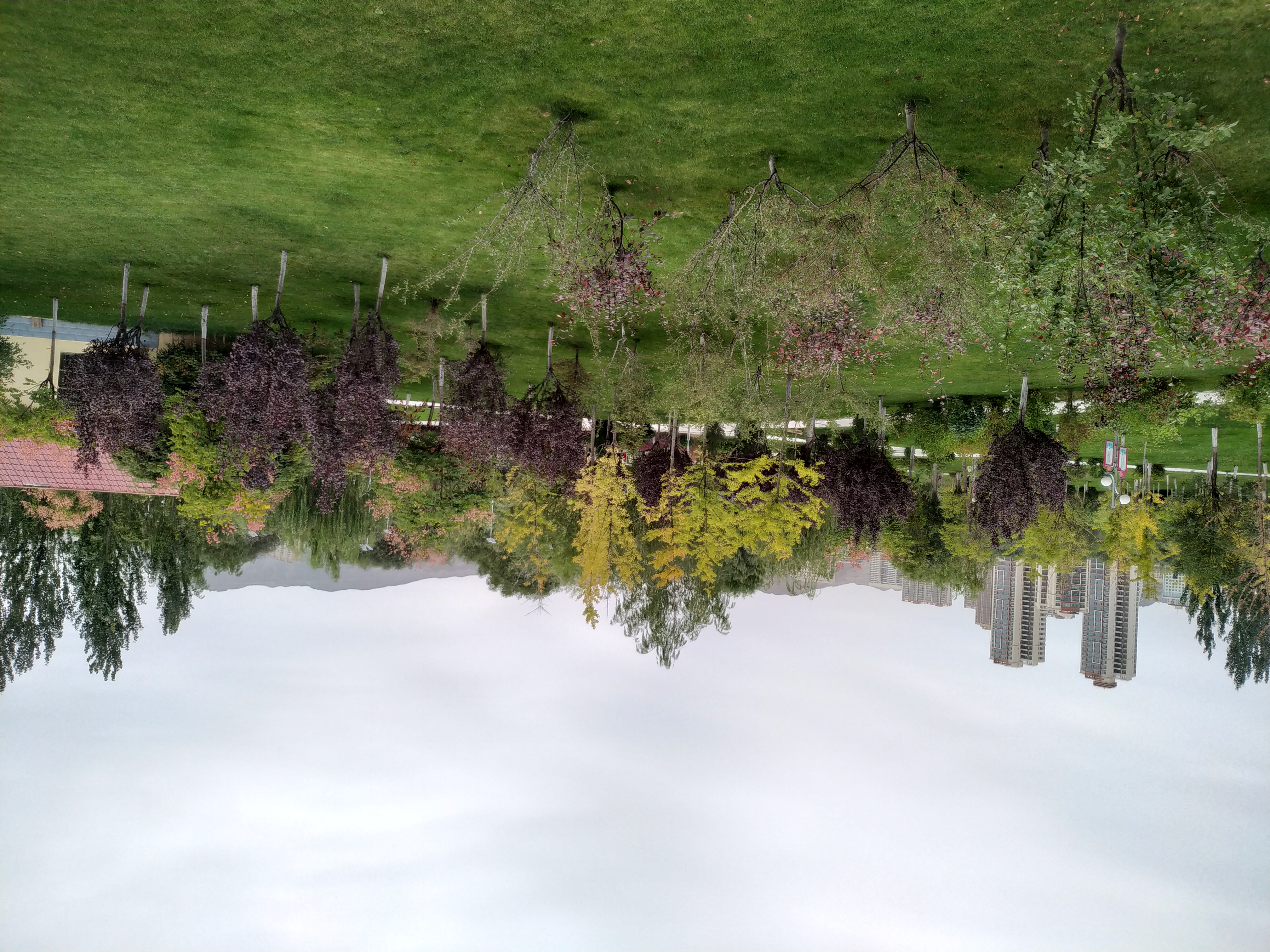 七里河百合公园地址,七里河旁边的公园