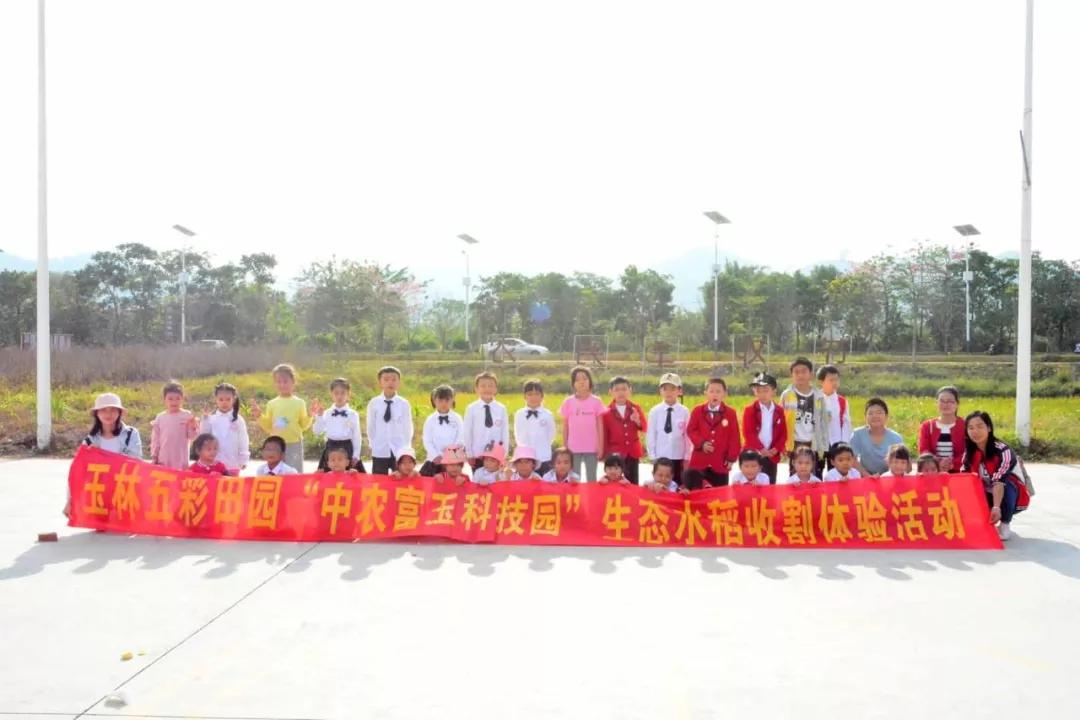 中农富玉大事记,中农富玉未来发展趋势