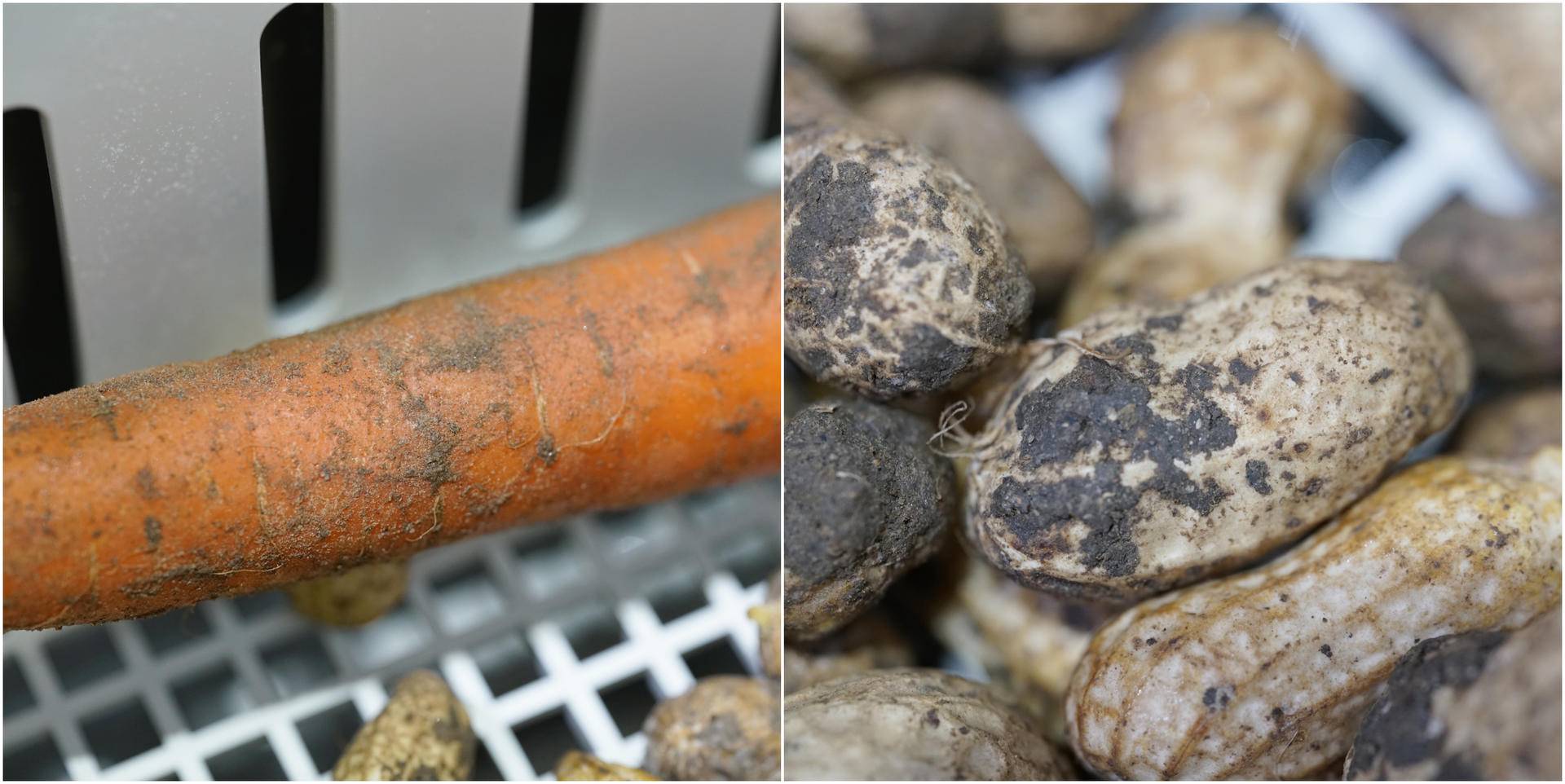 方太洗碗机的研究目的,方太洗碗机水槽ct03bl和ct03b