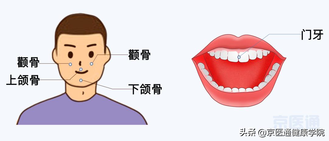 牙受伤后怎么保护,摔掉牙快速消肿方法