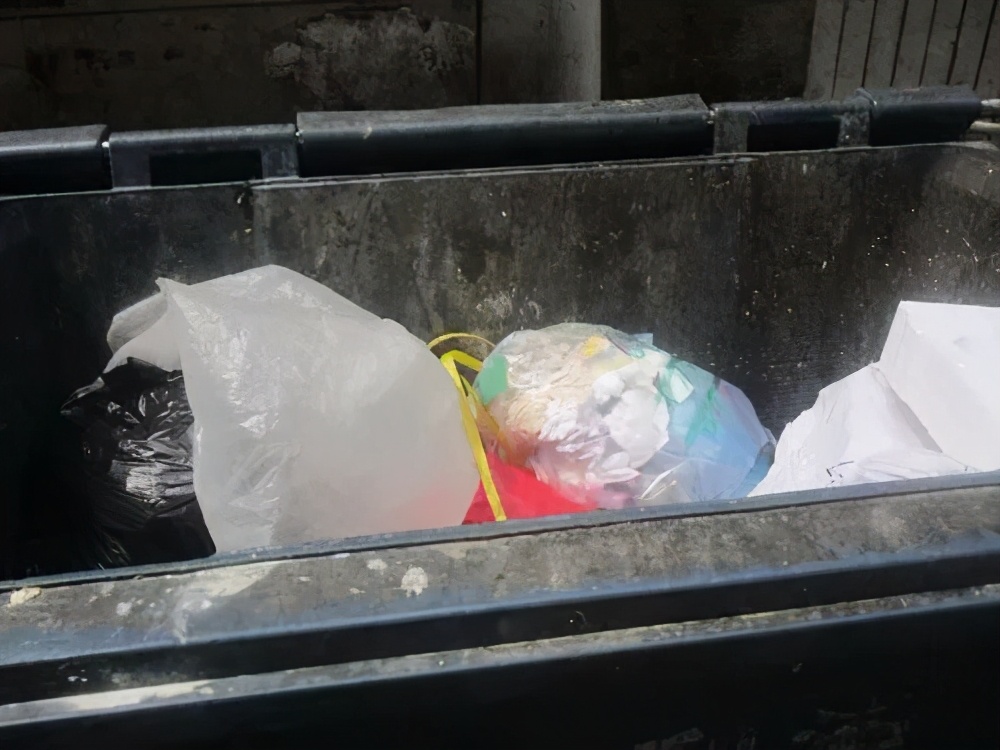 食堂苍蝇多怎么办生活小妙招,食堂苍蝇怎么处理才能彻底去除