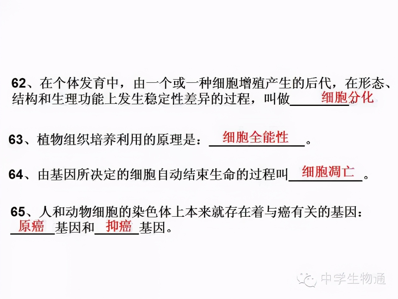 高中生物复习资料必修一,高中生物复习资料大全2019