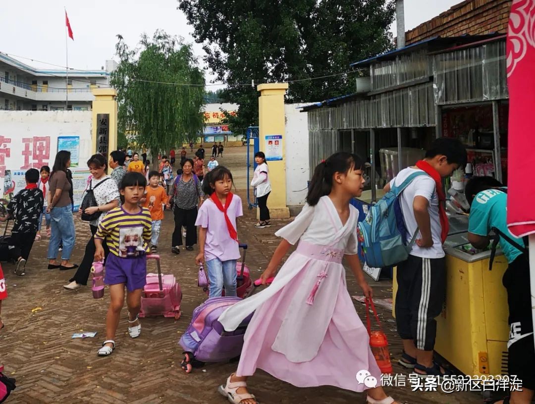 白洋淀红色记忆旅行社,白洋淀著名的红色事迹