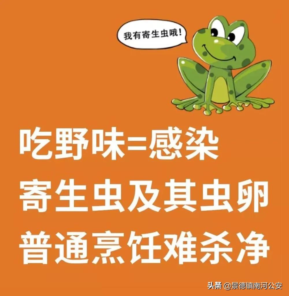 野味都有什么动物,哪些动物属于野味